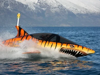 tiger-shark-speedl.webp